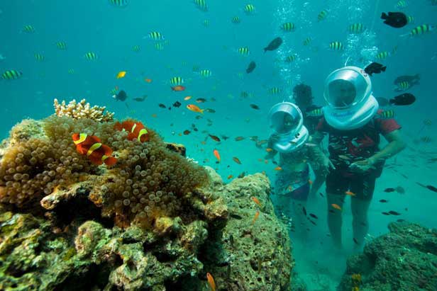 Andaman Gateway Tour