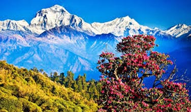 Honeymoon In Nepal Tour