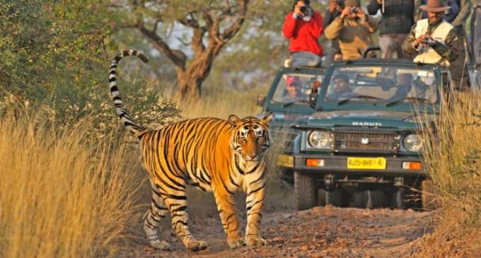 Delhi Ranthambore Weekend Tour 2night 3 Days