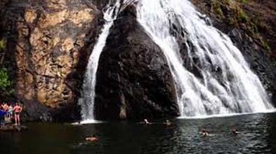 Dudhsagar Waterfalls Day Trip In Goa Tour