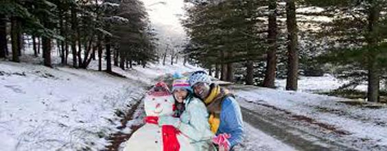 Romantic Tour Of Shimla & Manali Tour
