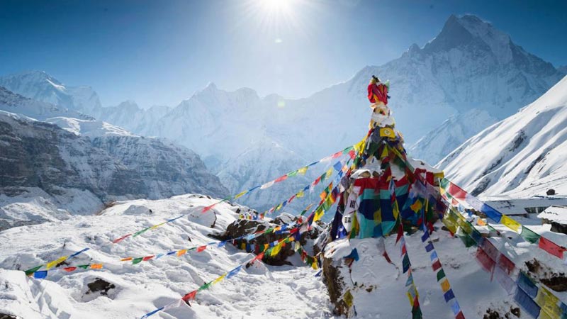 Himalayan Highlights Tour