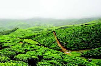 Coorg Sightseeing Tour