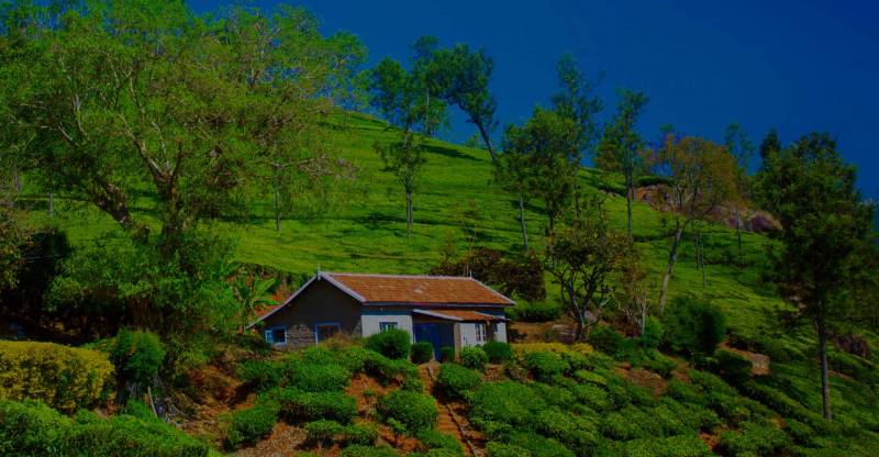 Cochin - Athirappilly - Munnar - Cochin Tour