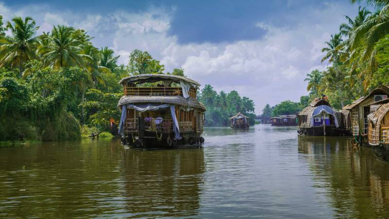 Cochin - Athirappilly  - Munnar - Thekkady- Alleppey (houseboat)