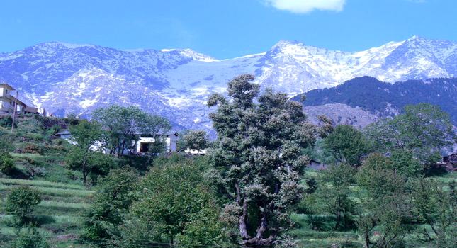 Beautiful Shimla Tour 2*