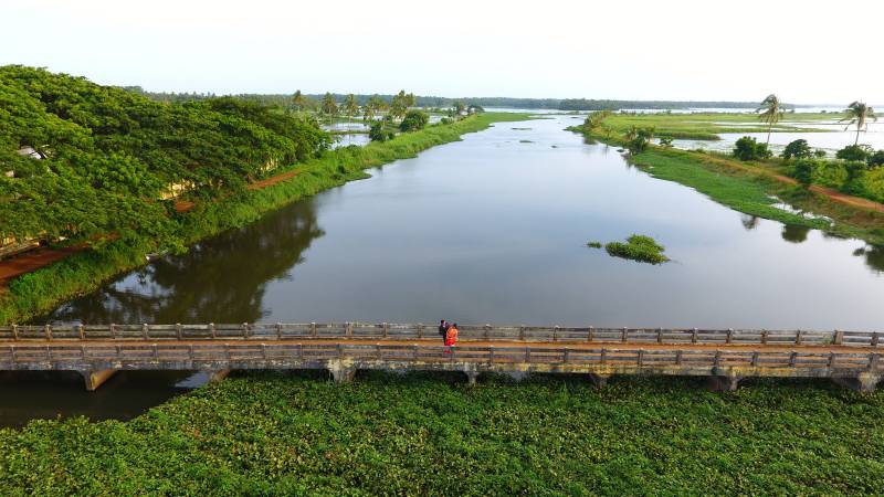 Cochin - Kumarakom - Thekkady - Munnar - Cochin Tour