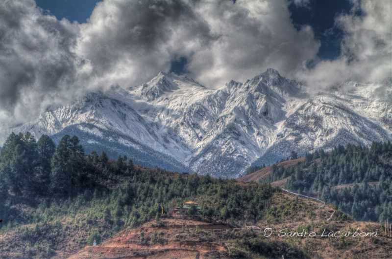 Foreign Nationals 15 Days Arunachal Meghalaya Assam Nagaland Tour