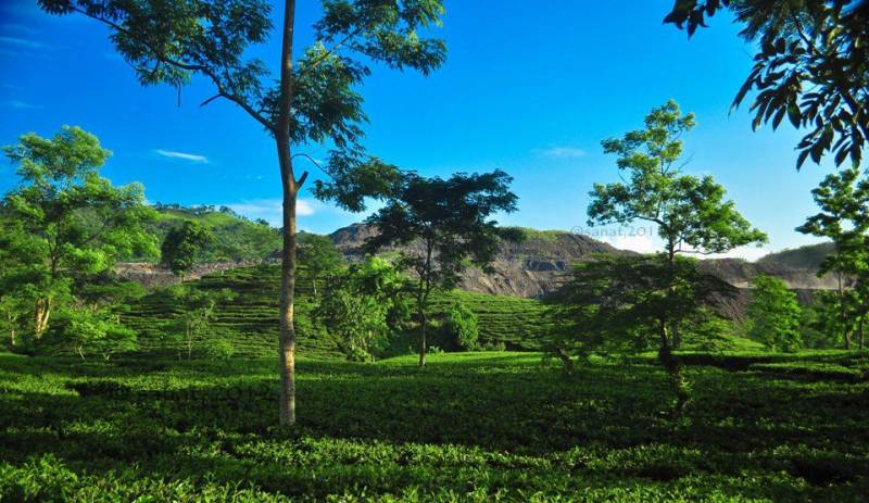 Foreign Nationals 15 Days Arunachal Meghalaya Assam Nagaland Tour