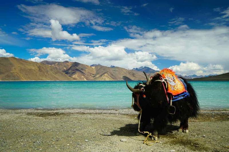 Manali To Ladakh
