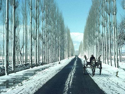 Romantic Kashmir With Taj Tour
