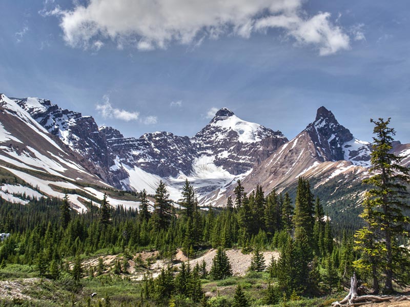 Classic Canadian Rockies Package