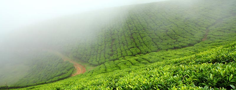 Women's Special North East Tour