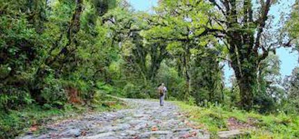 Darjeeling To Tonglu Day Trek Tour