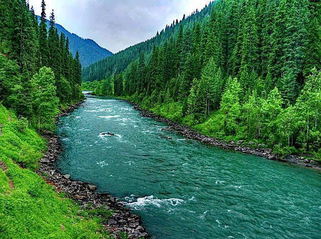 Green Valley Of Kashmir Tour Packages