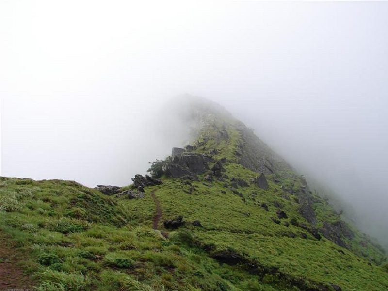 Chikmagalur Weekend Tour