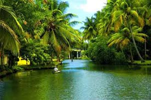 Tea Mist And Backwaters (3 Nights / 4 Days) Tour