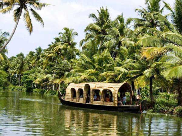 Tea Mist And Backwaters Tour