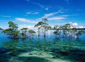 Andaman Package For 3 Nights And 4 Days Tour