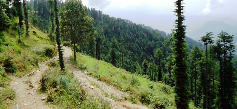 Charming Himachal Tour (6n/7d)