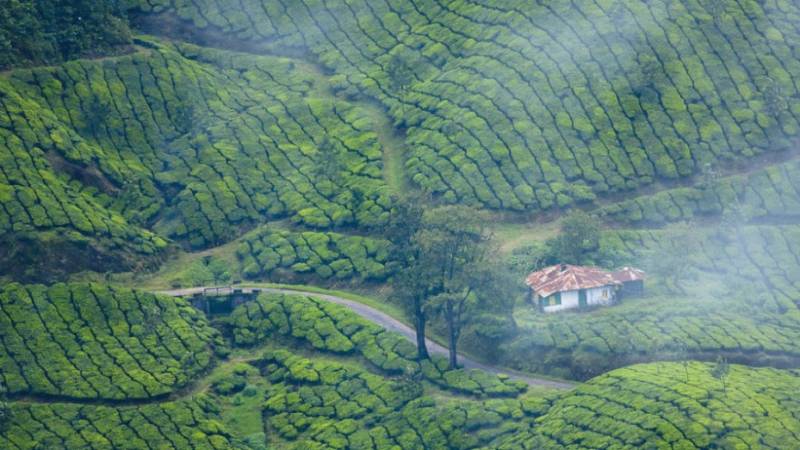 Himachal Delights Tour (7n/8d)