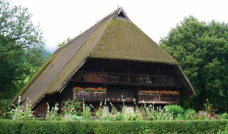 Black Forest Special Tour