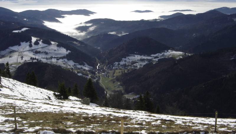 Black Forest Special Tour