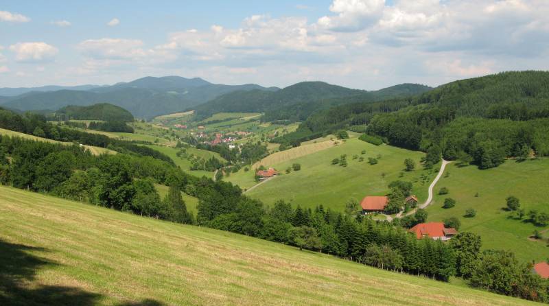 Black Forest Special Tour