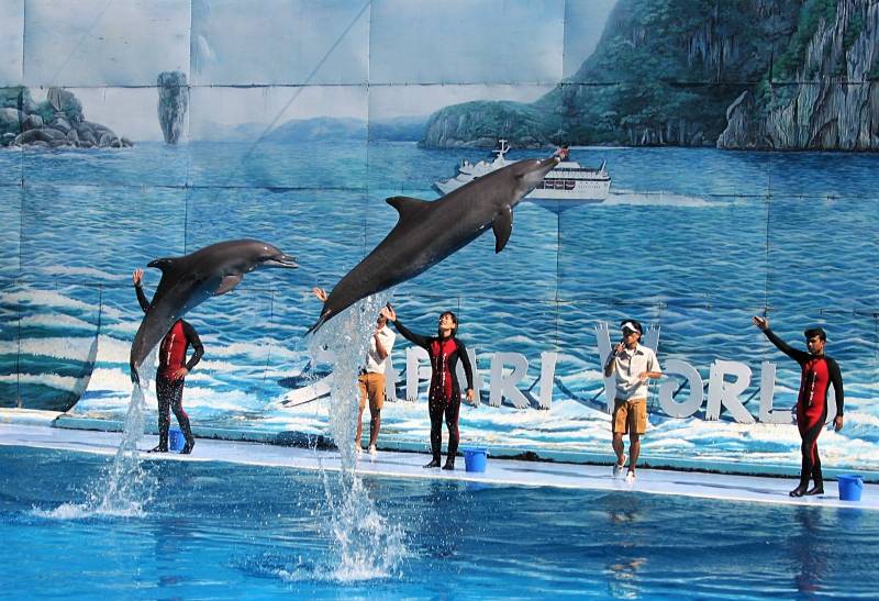 Bangkok & Pattaya Combo Tour