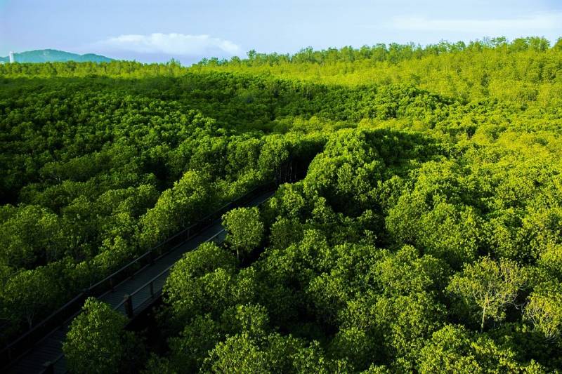 Thailand Escapade Tour