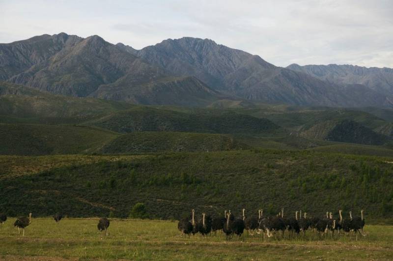 South Africa Adventure Tour