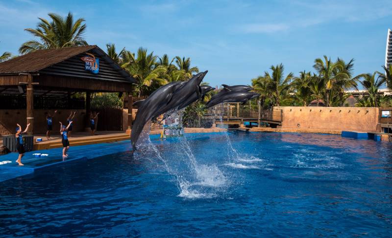 South Africa Adventure Tour