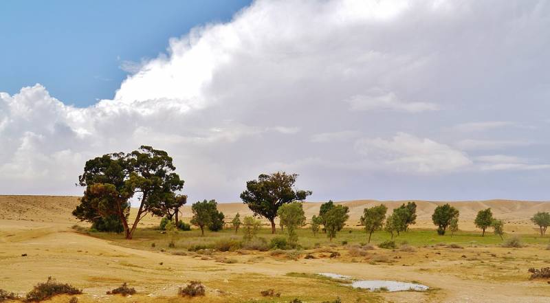 Highlights of Israel and Jordan Tour