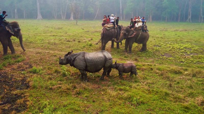 Bhutan and Nepal Explorer Tour