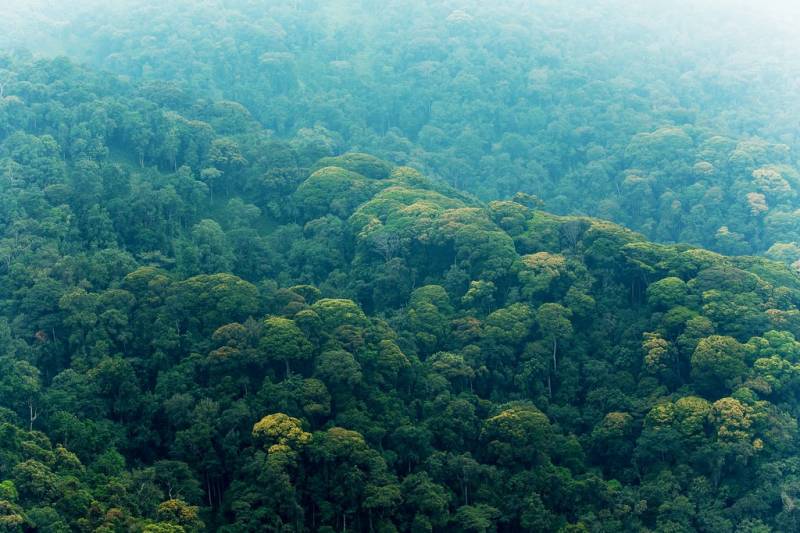 Amazonian Adventure Tour