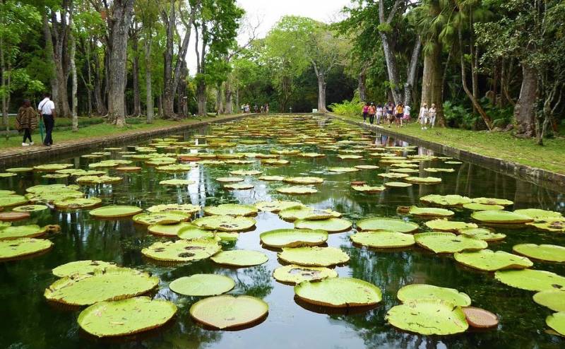 Mauritius Extravaganza Tour