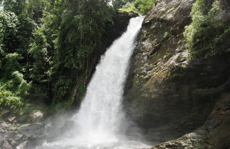 Wayanad Getaway Tour