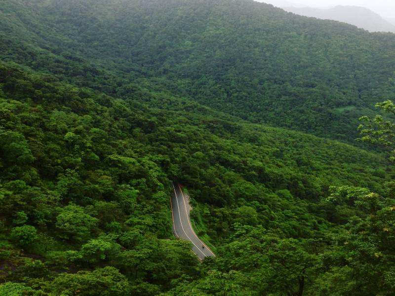 Wayanad Getaway Tour