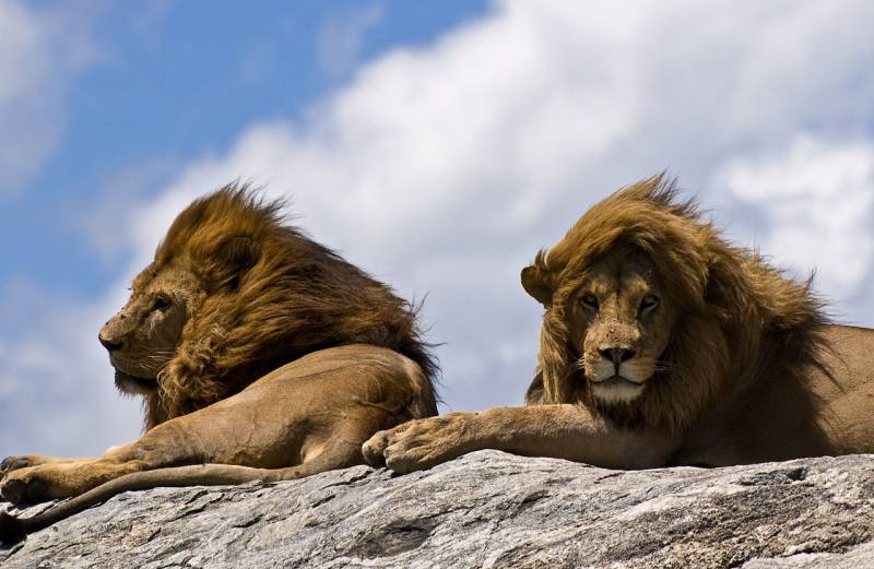 Tanzania Spirit & Soul Adventure Tour