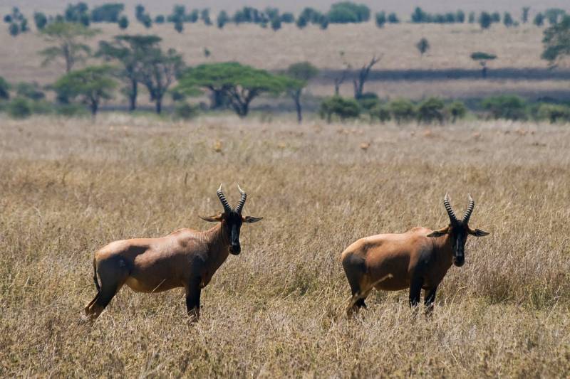 Tanzania Spirit & Soul Adventure Tour