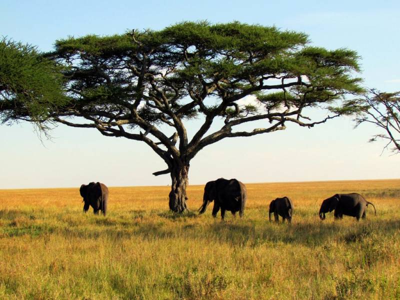 Tanzania Spirit & Soul Adventure Tour