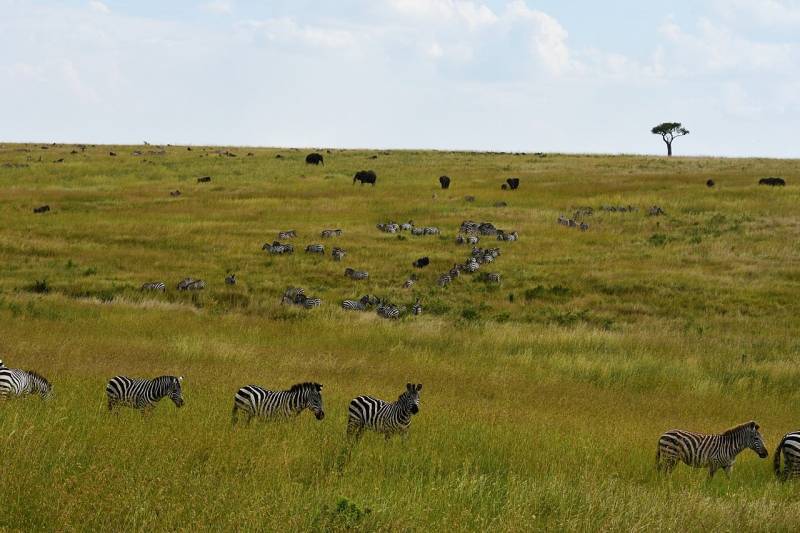 Tanzania Spirit & Soul Adventure Tour