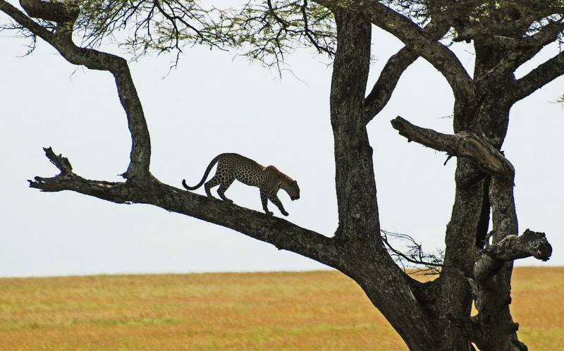 Tanzania Spirit & Soul Adventure Tour