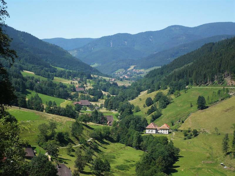 Black Forest Special Tour