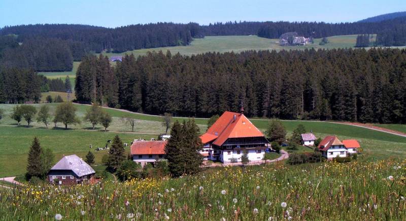 Black Forest Special Tour