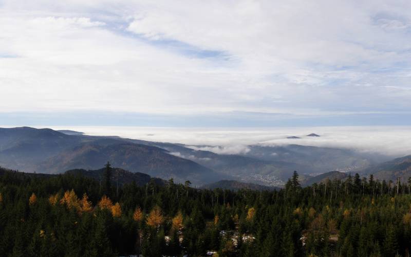 Black Forest Special Tour