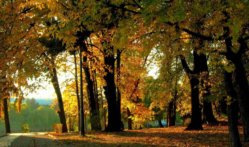 Balkan Treasures & Transylvania