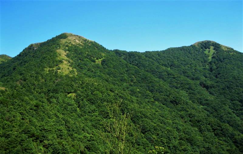 Guangzhou Getaway Tour