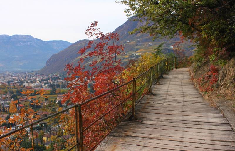 Alpine Adventure, Bernina & Glacier Express