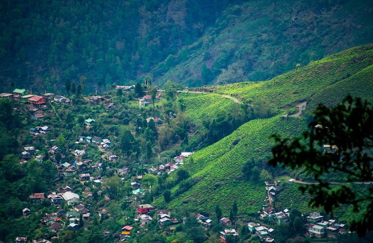 Best of Sikkim - Darjeeling Tour